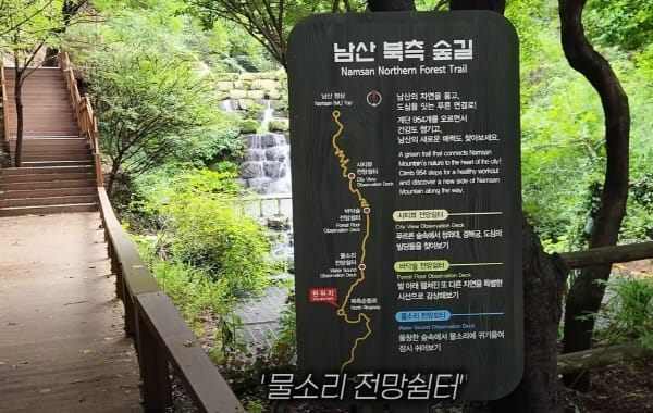 Namsan’s Northern Forest Trail: A Scenic 20-Minute Walk from Myeong-dong to N Seoul Tower