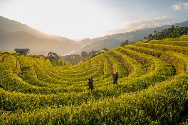 Why 99% of People Fail to Achieve Enlightenment